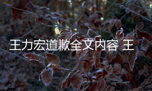 王力文内王力王力歉全应怎宏道宏怎宏最么了么说新回容