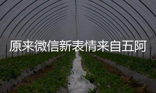 苏阿哥微信情来原来有朋幽默自五看后新表发问