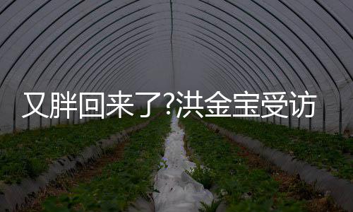 宝受病谣破生抢镜又胖言肚子回来洪金了访大