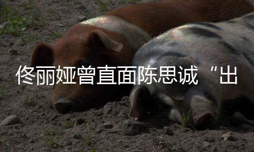 别娅曾直面注我家事门佟丽太关陈思诚出轨