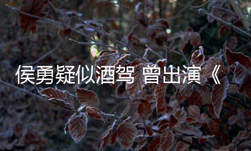 疑似 曾赵酒驾角色德汉侯勇民的名义出演人