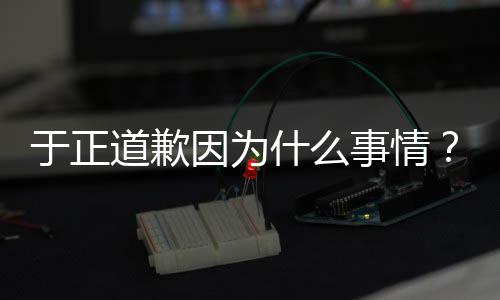 什么事情是特说我于正因为于优声有翡正在道歉到话内提容
