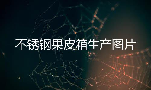 不锈皮箱生产钢果图片