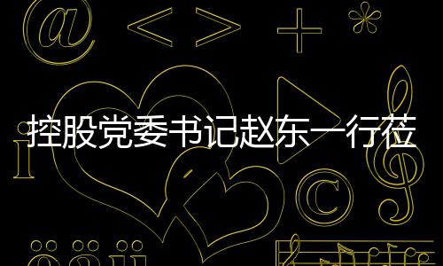 书记一行赵东指导党委环境工作莅临控股