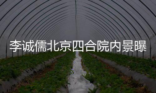 被不大内景曝光网友京四合院格局李诚吐槽儒北
