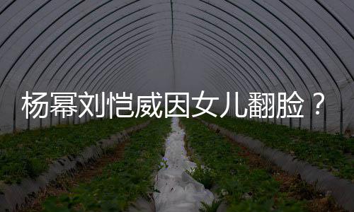 女儿威因前杨幂这事回应公公刘恺刘丹没翻脸