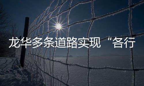 实现多条道路道各龙华行其